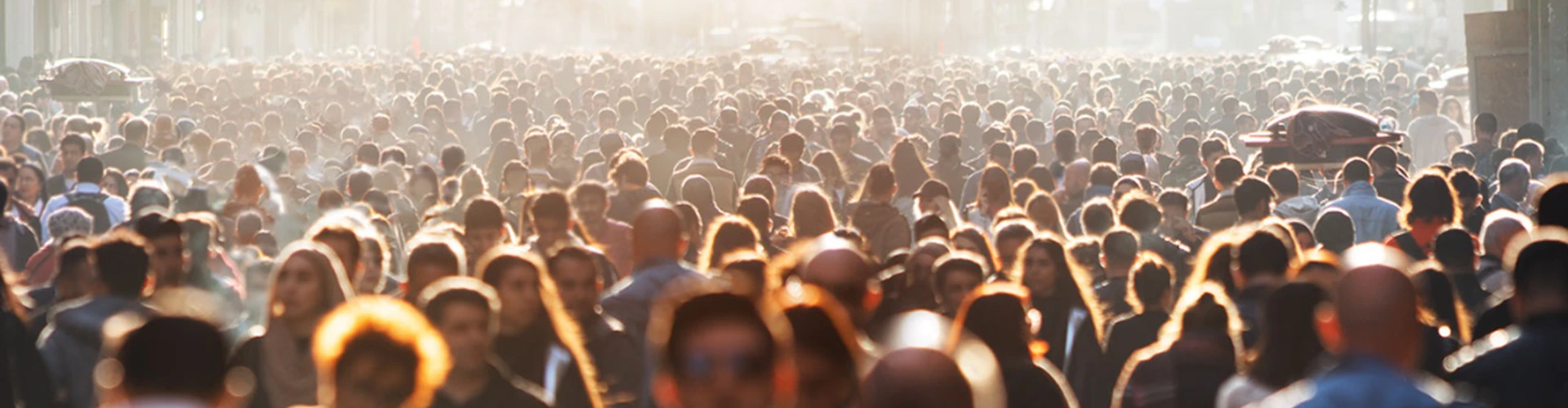 A large professional community gathered for a shared event
